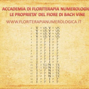 Alla ricerca del giusto rimedio… parte terza